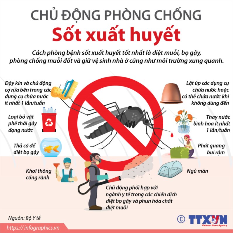 Bài tuyên truyền phòng chống sốt xuất huyết